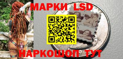 шишки Заводоуковск
