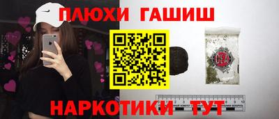 шишки Заводоуковск